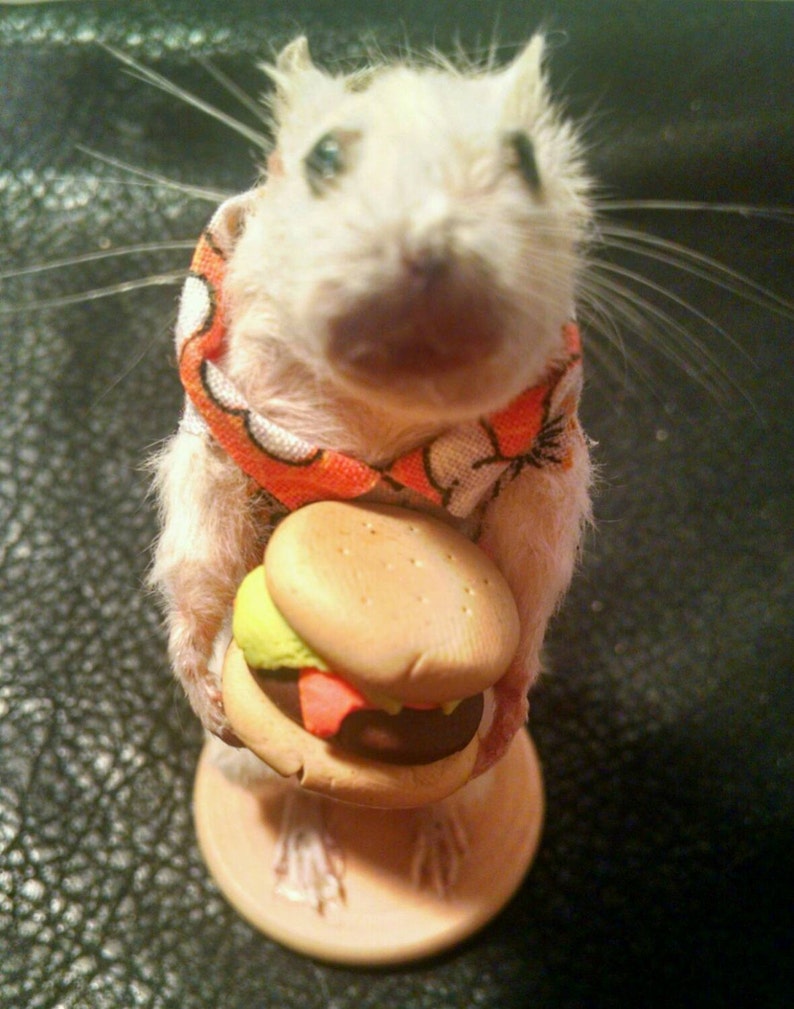 Burger time taxidermy mouse image 2