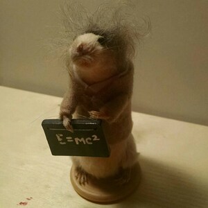 May include: A small, furry, brown and white mouse figurine wearing a brown jacket and holding a small chalkboard with the equation 'E=MC2' written on it.