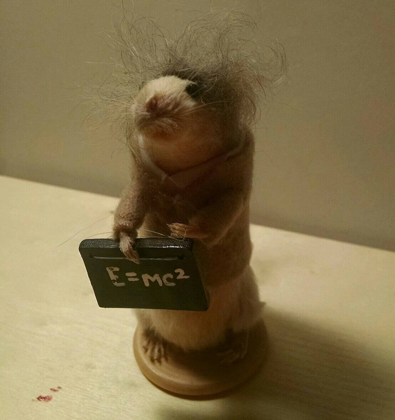 May include: A small, furry, brown and white mouse figurine wearing a brown jacket and holding a small chalkboard with the equation 'E=MC2' written on it.