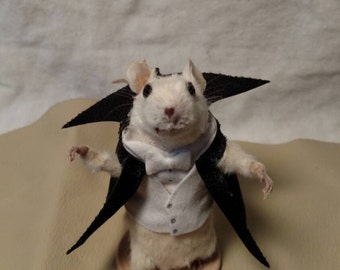 Taxidermy mouse dracula