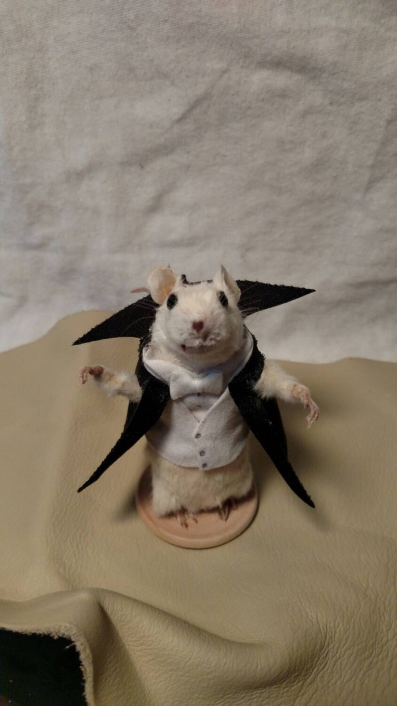 Taxidermy mouse dracula image 1