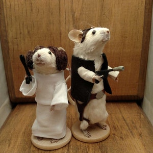 Op de afbeelding: Twee kleine witte muizen verkleed als Star Wars-personages. De muis links is verkleed als Prinses Leia met een witte jurk en een bruin hoofdband. De muis rechts is verkleed als Han Solo met een zwart vest, een bruine riem en een wit shirt.