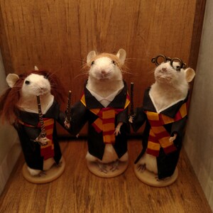 Harry Wizard and friends taxidermy mice image 3