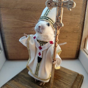 Taxidermy Mouse Pope Francis image 5