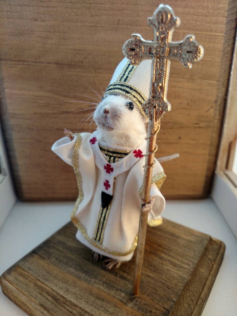 Taxidermy Mouse Pope Francis image 5