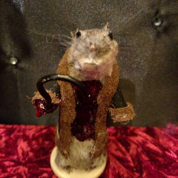 Candymouse taxidermy Mouse