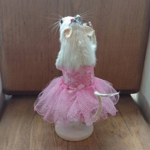 May include: A taxidermied white rat wearing a pink tutu and a pink floral patterned bodice. The tutu is made of a sheer pink netting. The rat is posed with its front paws raised, and a small silver tiara is on its head.