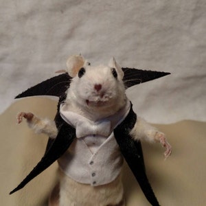 Taxidermy mouse dracula image 2