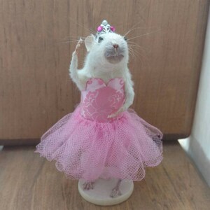 May include: A white rat figurine dressed in a pink tutu and a matching bodice with a floral pattern. The rat is also wearing a silver tiara with pink gems. The figurine is posed as if it is dancing.
