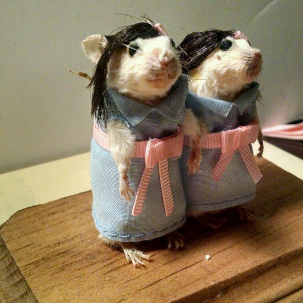 Taxidermy creepy little girls