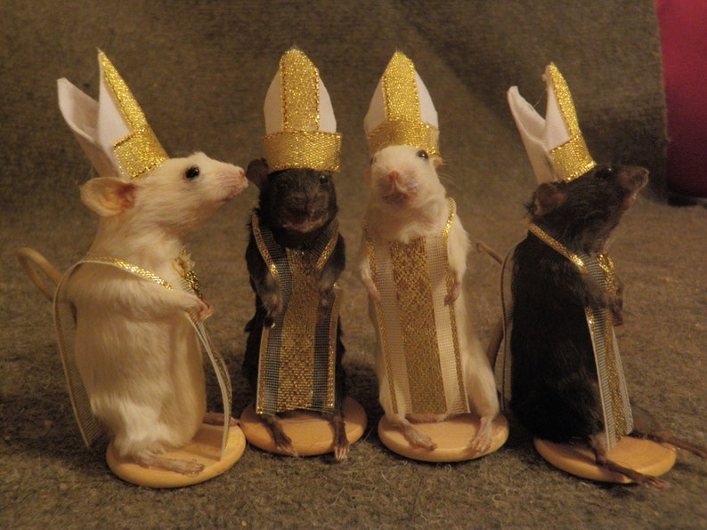 Taxidermy mouse chess set wooden board customization available image 5