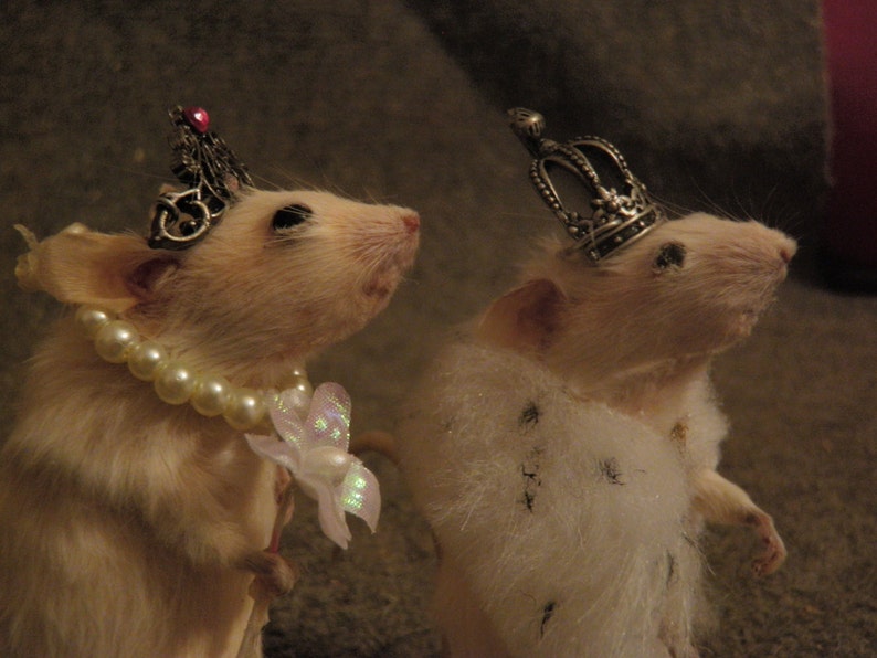 Taxidermy mouse chess set wooden board customization image 1