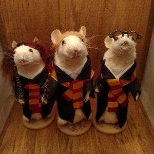 Harry Wizard and friends taxidermy mice image 1