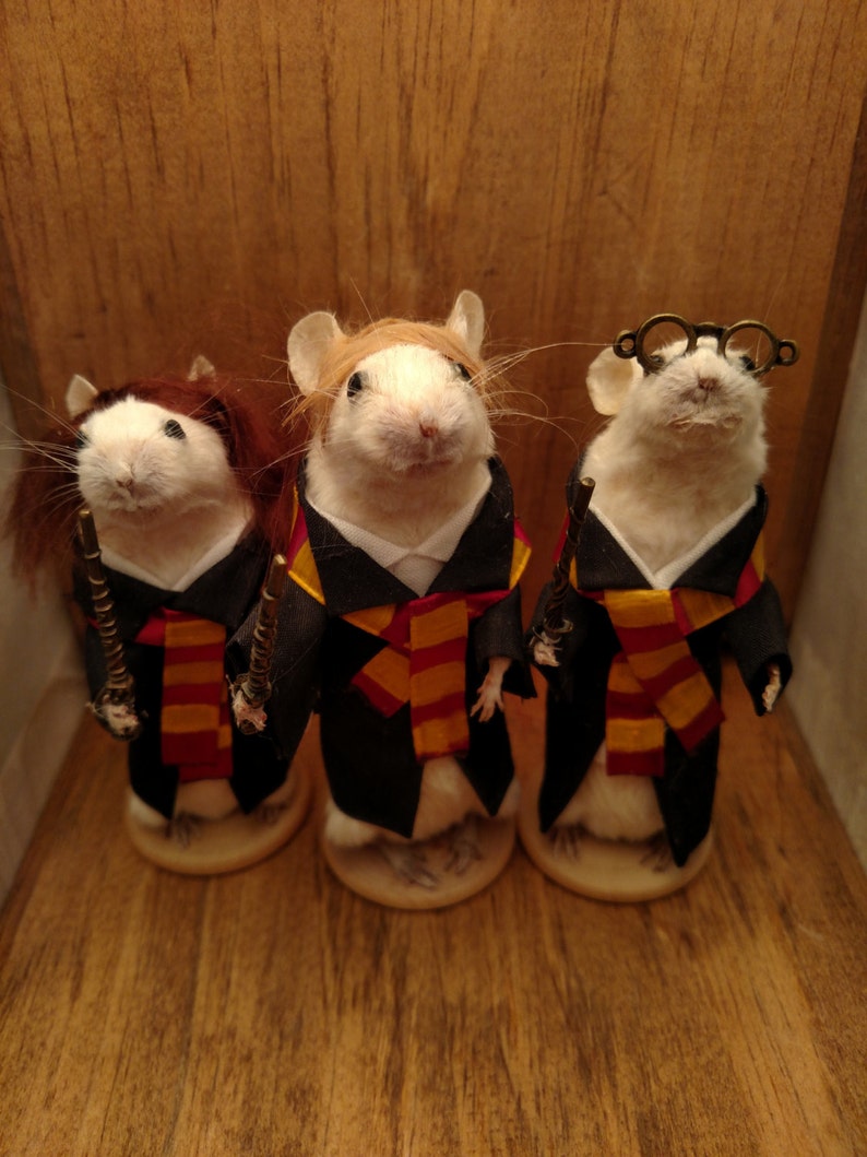 Harry Wizard and friends taxidermy mice image 1