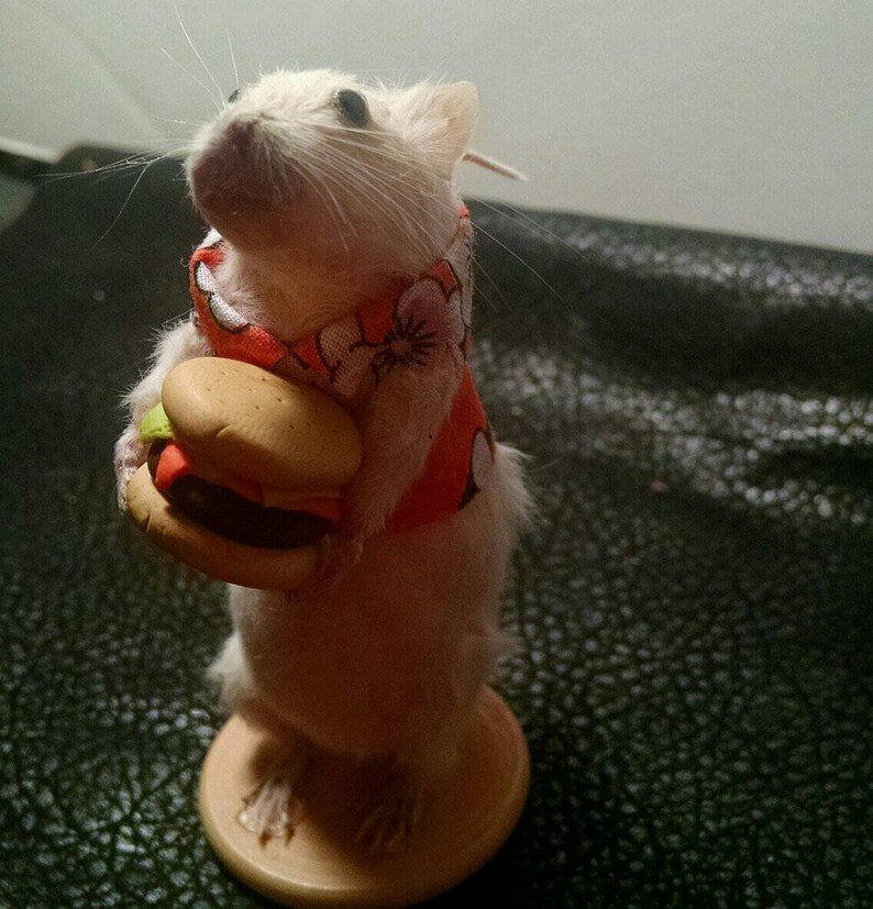 Burger time taxidermy mouse image 4