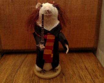 Hermione wizard taxidermy mouse