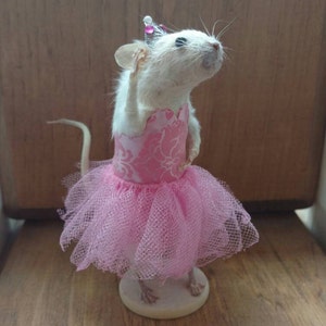 May include: A white mouse figurine dressed in a pink tutu and a matching bodice with a floral design. The mouse is also wearing a small silver crown. The figurine stands on a small, round, off-white base.