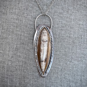 Orthoceras Fossil, fossil necklace, orthoceras pendant, sterling silver necklace