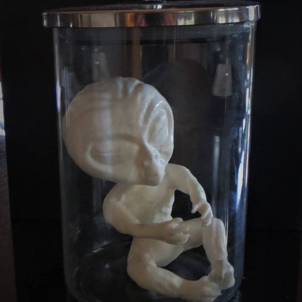 Alien Fetus Foetus in a jar