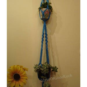 May include: A blue macrame plant hanger with two potted plants. The top plant is in a white ceramic pot with floral designs. The bottom plant is in a black pot and has green leaves. The hanger is hanging from a wall.