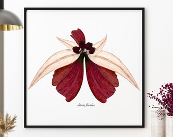 Clitoris art: clitoris flowers, feminist art, feminist, clitoris painting poster, gynecologist gift, anatomy art, sex therapist gift therapy