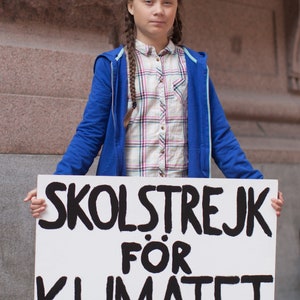 Inspirational kids shirt: You're never too small to make a difference Greta Thunberg, climate change shirt, kids tshirt, no planet B image 6