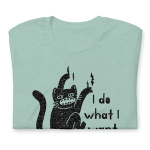 Funny cat shirt, I do what I want cat, I do what I want t shirt, kitten t-shirt, cat shirt, gift for cat lovers, cat attitude shirt image 7