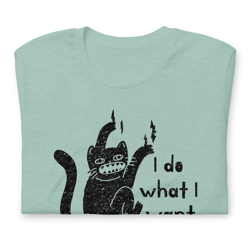Funny cat shirt, I do what I want cat, I do what I want t shirt, kitten t-shirt, cat shirt, gift for cat lovers, cat attitude shirt image 7