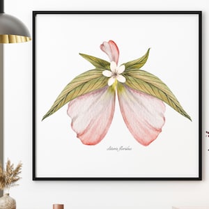 Clitoris art: clitoris flowers, feminist art, feminist, clitoris painting poster, gynecologist gift, anatomy art, sex therapist gift therapy Pink Clit