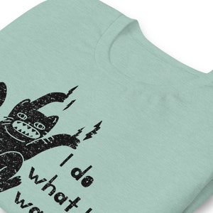 Funny cat shirt, I do what I want cat, I do what I want t shirt, kitten t-shirt, cat shirt, gift for cat lovers, cat attitude shirt image 8