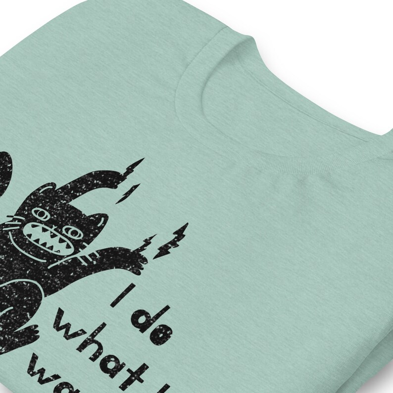 Funny cat shirt, I do what I want cat, I do what I want t shirt, kitten t-shirt, cat shirt, gift for cat lovers, cat attitude shirt image 8