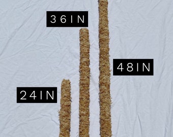 Sphagnum Moss Pole For Climbing Plants, PVC Moss Pole, Moss Pole for Monstera, Pothos, etc... 1ft 2ft 3ft 4ft 5ft Moss Pole, Tall Moss Pole