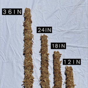 Könnte beinhalten: Vier mit Moos bedeckte Holzpfähle in verschiedenen Längen: 12 Zoll, 18 Zoll, 24 Zoll und 36 Zoll.