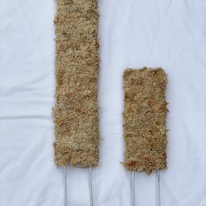 Peut inclure: Deux pôles de mousse brun avec des piquets métalliques. Le plus grand pôle mesure environ 30 cm de haut et le plus petit environ 15 cm de haut.