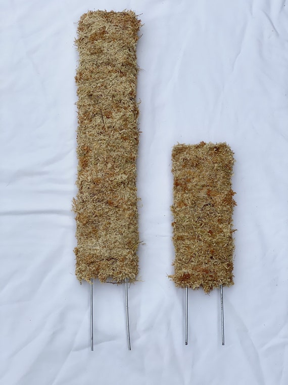 Cedar Moss Pole Board for Shingle Plants, Sphagnum Moss Pole