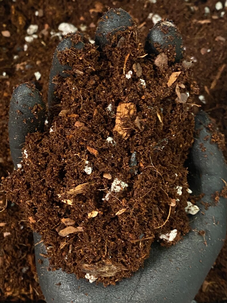 Ultimate Potting Soil Mix For House Plants Indoor Plant