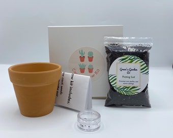 Cactus Grow Kit, Grow a Cactus, Grow Kit for Kids, Plant Grow Kit, Gift for Plant Lovers, Kids Activity Kit, Stocking Stuffers