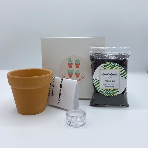 Grow a Succulent Kit Gift for Plant Lovers Sedeveria pink Etsy