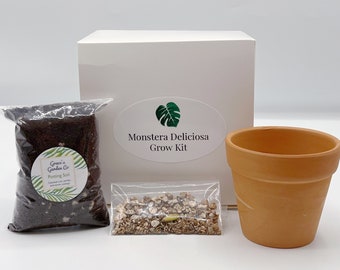 Monstera Deliciosa Grow Kit | Gift For Plant Lovers