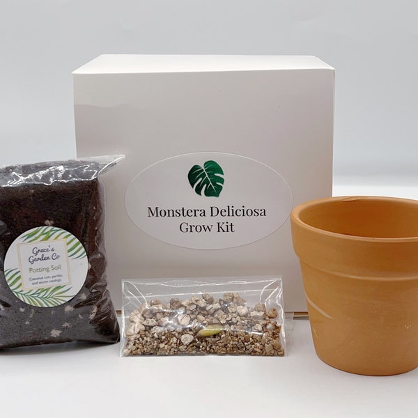 Monstera Deliciosa Grow Kit, Gift For Plant Lovers, Plant Mom Gift, Stocking Stuffer