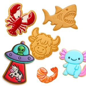 Peut inclure: Assortiment de biscuits d&eacute;cor&eacute;s en forme de homard rouge, de requin, de vache, de crevette, d'OVNI avec un extraterrestre et d'axolotl bleu. Les biscuits sont brillamment color&eacute;s et d&eacute;taill&eacute;s.