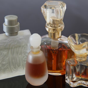 Cerruti 1881 Perfume - Etsy