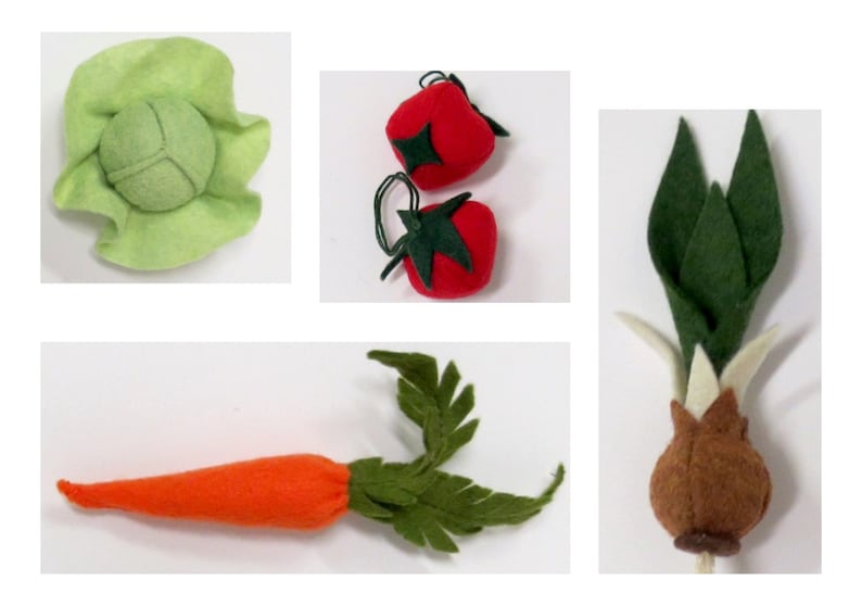 May include: Felt toy vegetables, including a green cabbage, two red tomatoes, an orange carrot, and a brown onion with green leaves.