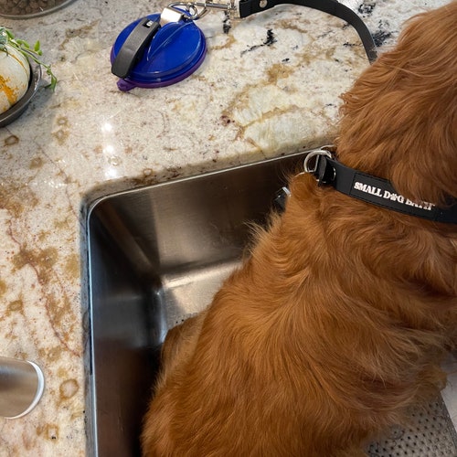 Home Groomers Collection Bath Latch System agrohort.ipb.ac.id