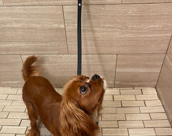 Every Dog Bath Latch (With Collar)