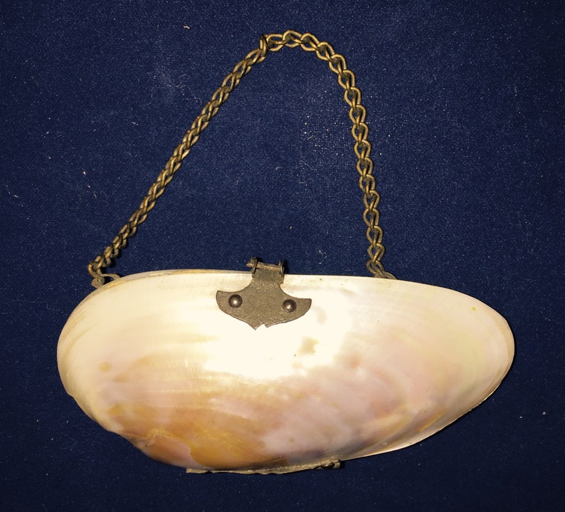 Victorian Oyster Shell Coin Purse Etsy