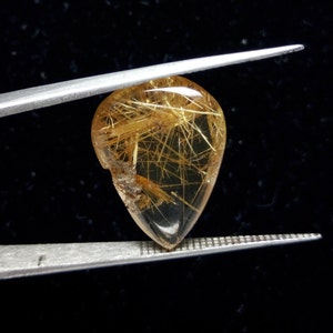 May include: A teardrop-shaped gemstone with golden, needle-like inclusions, held by silver tweezers against a black background. The gem is translucent with a polished surface, showcasing the internal structures.