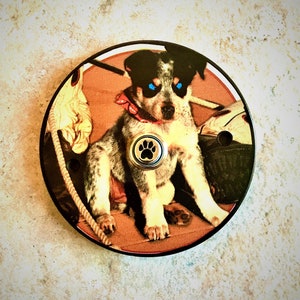 DOG DOORBELL Cover Plate - Cattle Dog Theme - Custom Doorbell Button