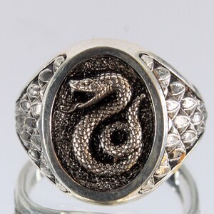Anillo de serpiente, joyería de serpiente de plata maciza, anillo de animal de plata 925, anillo de serpiente, anillo con serpiente, anillo de serpiente