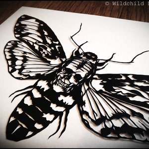 Modelo de corte de papel da traça da cabeça da morte, uso pessoal, modelo de vinil, SVG, JPEG, modelo Hawkmoth, modelo de caveira, clipart gótico, traça